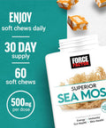 Force Factor Superior Sea Moss, Premium Irish Sea Moss To Support Energy, Immunity, Gut Health, & Skin Health, Non-Gmo, Gluten , Salted Caramel Flavor, 60 Soft Chews