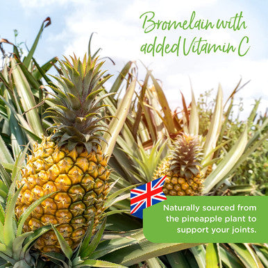 Healthspan Bromelain with Added Vitamin C 90 Tablets 500mg Bromelain Extract Digestive Enzyme Pineapple Plant Vegan