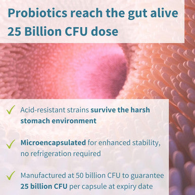 Live Cultures+ Probiotic Complex With Prebiotics For Gut Health, Lactobacillus Acidophilus & Bifidobacterium, 25 Billion Cfu, Vegan, Bloating Relief, 30 Capsules, By Igennus