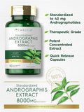 Carlyle Andrographis Paniculata Capsules | 8000 mg | 90 Count | Non-GMO & Gluten Supplement
