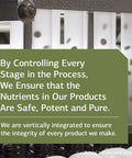 Standard Process Allerplex - Lung Health Support Supplement - Dietary Supplement With Vitamin A & Pneumotrophin Pmg - Support Hea