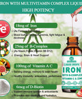 WellVeraVida Liquid Iron Supplement W/Vitamin C, B-Complex, High Potency Iron Liquid W. Multivitamin, Vegan Iron Drops For Women, Kids, Chelate Liquid Iron Supplement For Anemia, Fatigue, Red Blood Cell Support