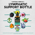 NUTRAHARMONY Usda Organic Lymphatic Drainage Supplement - Ecea | Elderberry | Dandelion | Rosehip | Cleavers | Calendula | Burdock - Made In Usa - Lymph System Drops - Immune Support, Cleanse & Detox, 2 Fl Oz