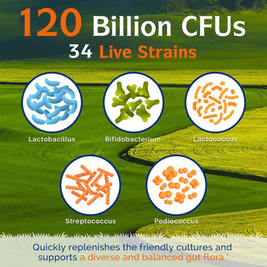 Innate Vitality Probiotics 120 Billion CFUs 34 Strains with Organic Prebiotics & Digestive Enzymes, Digestion & Immunity Health for Women & Men, 3-in-1 Probiotics, No Refrigeration Required, Acid Resistant, 30 Caps
