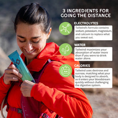 Tailwind Nutrition Endurance Fuel 50 Serving Green Tea Flavour - Caffeinated