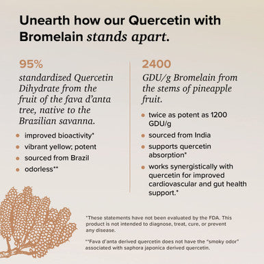 Rootcha Quercetin With Bromelain - Bioactive Fava D'Anta Derived Quercetin With 2400 Gdu/G Bromelain 120 Capsules