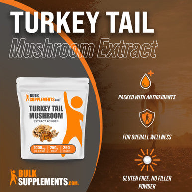 BulkSupplements Turkey Tail Mushroom Extract Powder - Herbal Supplement, Coriolus Versicolor Extract - - 1000mg , 250 Servings (250 Grams - 8.8 oz)