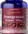 Puritan's Pride Pomegranate Extract 250 Mg 120 Count
