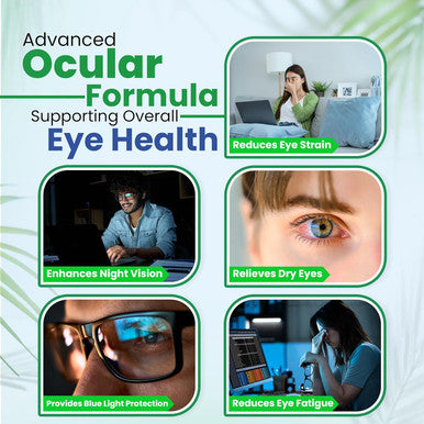 DR VITAMIN SOLUTIONS Vision Support Eye Vitamins For Macular Health Supplements With Lutein, Zinc, Vitamin A & Bilberry Areds 2 Formula (1 Bottle, 60 Capsules)