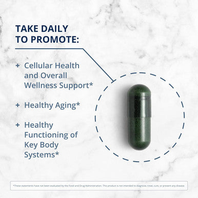Metagenics Phytomulti Multivitamin - Daily Multivitamins With Phytonutrients - Multivitamin For Men & Women - Phytomulti Multivitamin Supplement - With Zinc & B6 Vitamins - 60 Capsules
