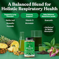Eu Natural Breathe Inhaler Support Supplement Sinus, Lungs, Open & Clear Airways Seasonal Nasal Health, Bronchial Wellness, Healthy Chest Quercetin, Vitamin D, Bromelain Pills 60 Vegetarian Soft Capsules