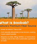 NativePath Organic Baobab Prebiotic Fiber Powder - Digestive Health Supplement - Natural Orange Flavor 30 Servings
