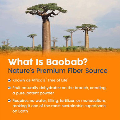 NativePath Organic Baobab Prebiotic Fiber Powder - Digestive Health Supplement - Natural Orange Flavor 30 Servings
