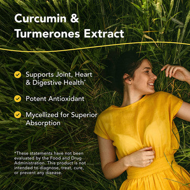 North American Herb Spice Turmeric PowerPlus 120 Count Curcumin Turmerones Whole Food Extract Joint Heart Digestive Health Support Antioxidant NonGMO 60 Servings