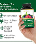 Life's Fortune Life's Energy Advanced Multi-Vitamin and Mineral for Men & Women Non-GMO - Super Greens - ORAC Berries - AntiOxidants - Enzymes - Iron Free - GMP Tested 120 Veggie Tablets