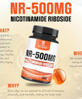 Nad+ Supplement With Nicotinamide Riboside 500Mg - Cellular Energy & Repair, Healthy Aging, Wellness - 90 Capsules - 3 Month Supply