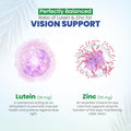 DR VITAMIN SOLUTIONS Vision Support Eye Vitamins For Macular Health Supplements With Lutein, Zinc, Vitamin A & Bilberry Areds 2 Formula (1 Bottle, 60 Capsules)
