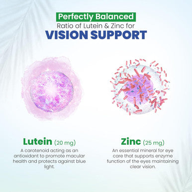 DR VITAMIN SOLUTIONS Vision Support Eye Vitamins For Macular Health Supplements With Lutein, Zinc, Vitamin A & Bilberry Areds 2 Formula (1 Bottle, 60 Capsules)