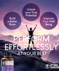 Lions Mane Mushroom Supplement Beef Brain Powerful Nootropics Brain Support Supplement Brain Supplements for Memory and Focus 180 Capsules by Optimal Carnivore