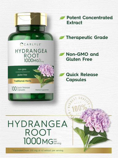 Carlyle Hydrangea Root Capsules | 1000mg | 100 Count | Non-GMO Gluten Extract