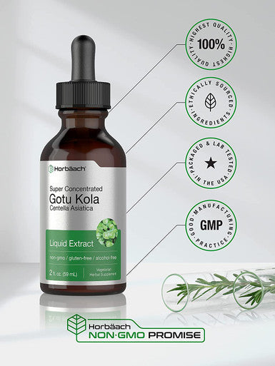 Gotu Kola Extract | 2 fl oz | Alcohol Free | Super Concentrated Liquid Herb Supplement | Vegetarian, Non-GMO, Gluten Free | by Horbaach