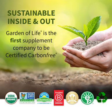 Garden of Life Raw Organic Protein Plant Formula Chocolate - 660 G