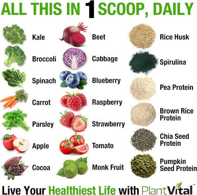 Plantvital Vegan Protein Powder Plant Based, Organic Protein Powder Chocolate, 24G/0G Sugar, 12 Superfoods, Veggies, Probiotics, Raw Cocoa, Kale, Beets, Spirulina, Pea, Gluten-, Keto-Friendly,16Oz