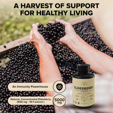 Elderberry With Vitamin C, Zinc, & Ginger Potent Immune Booster 5000 Mg Elderberry, Zinc, & Vitamin C Non-Gmo Immunity Vitamins For Adults To Help You Feel Vibrant, 60 Caps.