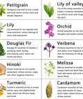Aromatherapy Cardamom Essential Oil Set for Diffuser, 100% Pure Orchid Essential Oils Set for Humidifier, 10x10ml Therapeutic Grade Verveine Oils Set - Melissa, Douglas Fir, Petitgrain Oils.for Home