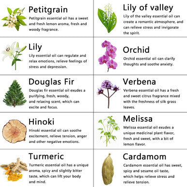 Aromatherapy Cardamom Essential Oil Set for Diffuser, 100% Pure Orchid Essential Oils Set for Humidifier, 10x10ml Therapeutic Grade Verveine Oils Set - Melissa, Douglas Fir, Petitgrain Oils.for Home