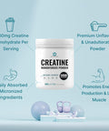 Deal Supplement Creatine Monohydrate Powder 600 Grams (1.32lb) Unflavored | Pure | Micronized Creatine Powder 5000mg(5g) Per Serving 4 Month Supply Vegan | Keto Non-GMO No Filler No Additives - 120 Servings