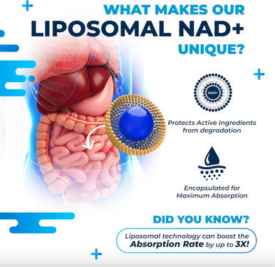 Liposomal Nad+ Trans-Resveratrol 6000Mg With Red Wine Milk Thistle Quercetin Fisetin - Healthy Aging Support - Made And Tested In The Usa