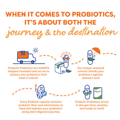 Probulin Total Care Gut Support Daily Probiotic Supplement for Adults 20 Billion CFU 30 Capsules