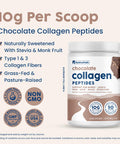 NativePath Collagen Peptides - Hydrolyzed Type 1 & 3 Collagen. Keto & Paleo Grass-Fed Protein Powder for Hair Skin Nails Bones Joints Digestion and More - No Gluten or Dairy (Chocolate 268g)