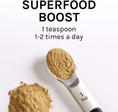Host Defense MycoBotanicals Brain Energy Powder