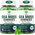 Envycure Sugar-Free Sea Moss Gummies 5000Mg Extra Strength Irish Moss Gel Supplement With Iodine Chlorophyll Unfiltered Acv D3 Burdock Root Bladderwrack For Immune Digestive Joint SkinVegan 120 Chews