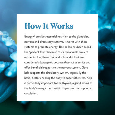 Nature'S Sunshine Energ-V 100 Capsules