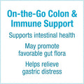 Natural Factors TravelBiotic Supports Colon and Immune Health Shelf Stable Probiotic Supplement 10 Billion CFU Vegan 60 Capsules 60 Servings