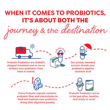 Probulin PPAK Probiotic for Colon Support 20 billion CFU 10 Capsules