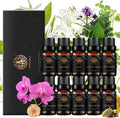 Aromatherapy Cardamom Essential Oil Set for Diffuser, 100% Pure Orchid Essential Oils Set for Humidifier, 10x10ml Therapeutic Grade Verveine Oils Set - Melissa, Douglas Fir, Petitgrain Oils.for Home