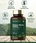 Carlyle Ginkgo Biloba | 3000mg Per Serving | 200 Tablets Extra Strength | Vegetarian | Non-GMO & Gluten Supplement | Tahoe Nutritionals