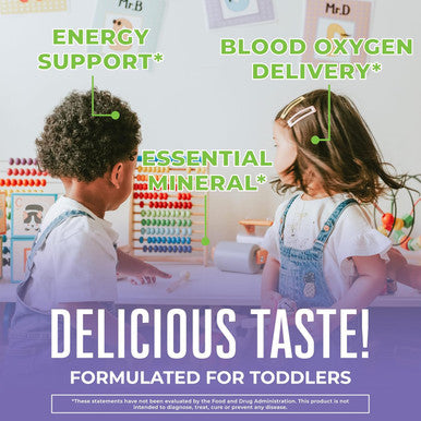 Maryruth Organics Iron Supplement for Toddlers | Liquid Iron Supplement for Children Ages 1-3 | Iron Supplement for Iron Deficiency | Ferrochel | Sugar | Vegan | Non-GMO | Gluten | 2 Fl Oz