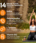 Cognitune Thyroid Support Complex Supplement - Thyroid Support for Women and Men - Boost Energy Focus Metabolism - Iodine Supplements for Thyroid + B12 Selenium Zinc Copper Ashwagandha L-Tyrosine & More