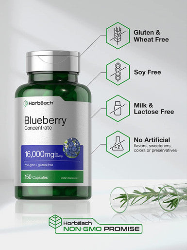 Horbaach Blueberry Extract Supplement 150 Capsules Blueberry Concentrate Non GMO Gluten Free