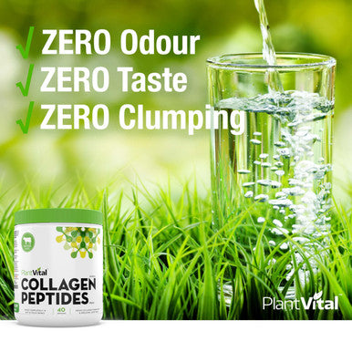Plantvital Collagen Peptides Powder - Hydrolyzed 100% Grass Fed Collagen Powder Paleo Friendly Unflavored Supports Skin Hair Nails & Joints 400G Dissolving 40 Servings