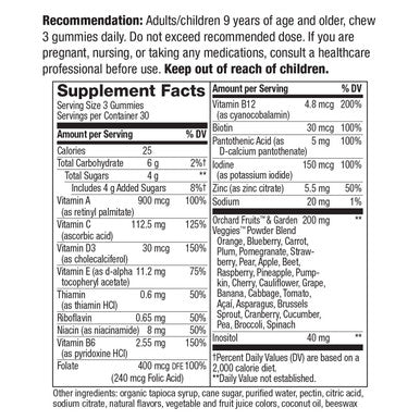 Nature's Way Alive! Adult Premium Gummy Multivitamin, Full B Vitamin Complex, 90 Gummies