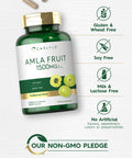Amla Capsules 1500Mg | 120 Count | Amalaki Fruit | Non-Gmo And Gluten Free Supplement | By Carlyle