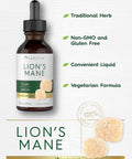 Carlyle Lions Mane Mushroom Supplement | 2 Fl Oz | Liquid Extract Tincture | Vegetarian | Non-GMO Gluten