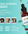 Maryruth Organics Chlorophyll Liquid Drops Clean Label Project Vegan Non-Diluted Liquid Chlorophyll| Mulberry Derived Supplement for Ages 14+ Non-GMO Delicious Minty Flavor 2 Fl Oz
