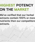 Secrets of the Tribe Lomatium Alcohol-Free Liquid Extract (Lomatium Dissectum) Dried Root Tincture Supplement (4 FL OZ)